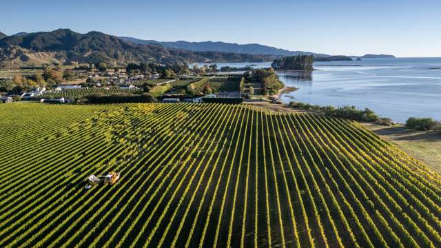 A Fresh Price on a Unique Riwaka Lifestyle!