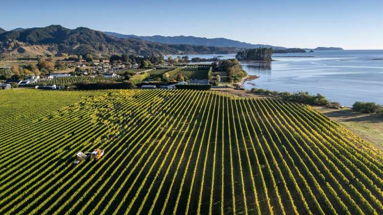 146 Lodder Lane Riwaka Motueka_30