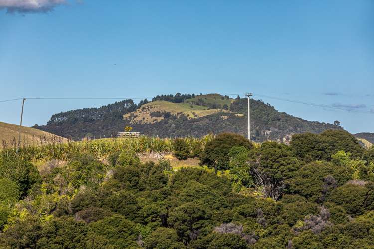 59 Waiheke Road Waiheke Island_17