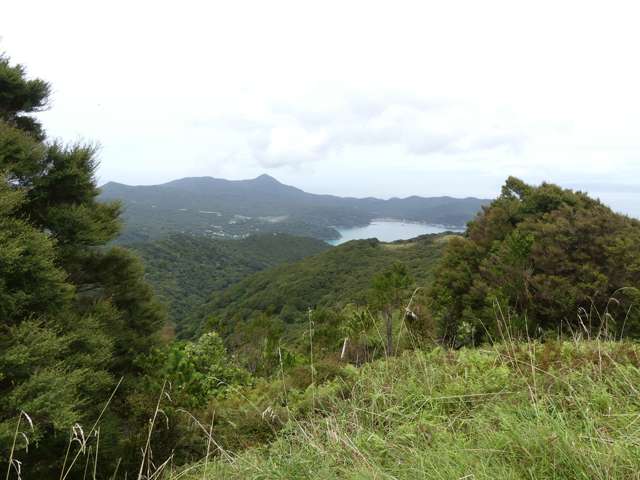 230 Schooner Bay Road Great Barrier Island (Aotea Island)_4