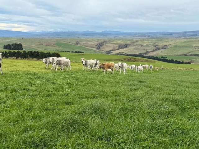 865 Wallaces Ford Road Clarks Junction_4