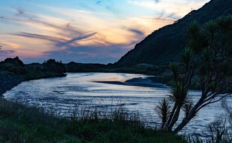 276 Bethells Road Bethells Beach_30