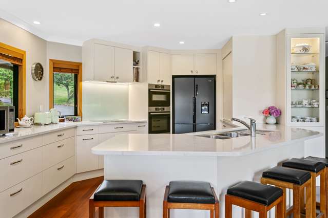 438 Clearwater Lane Rangatira Park_4