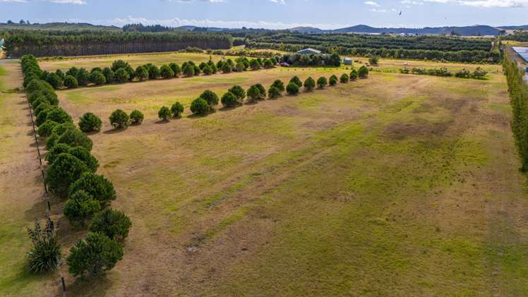 38 Elingamite Drive Pukenui_28