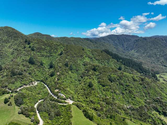 180 Totaranui Road Wainui Bay_2