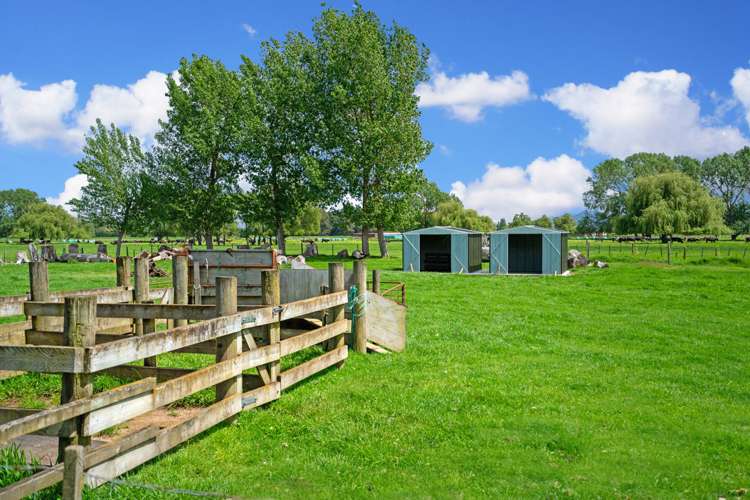 936 Orini Road Orini_16