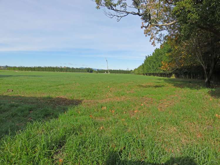 364 Kumi Road Awanui_17