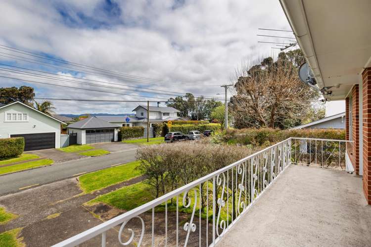 2A Douglas Avenue Mount Albert_19
