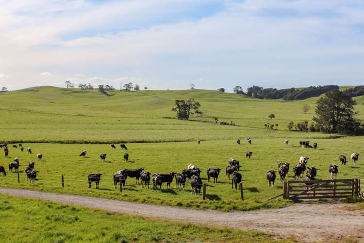 295 Waiteitei Road Wellsford_16