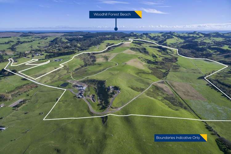 280 Rimmer Road Helensville_2