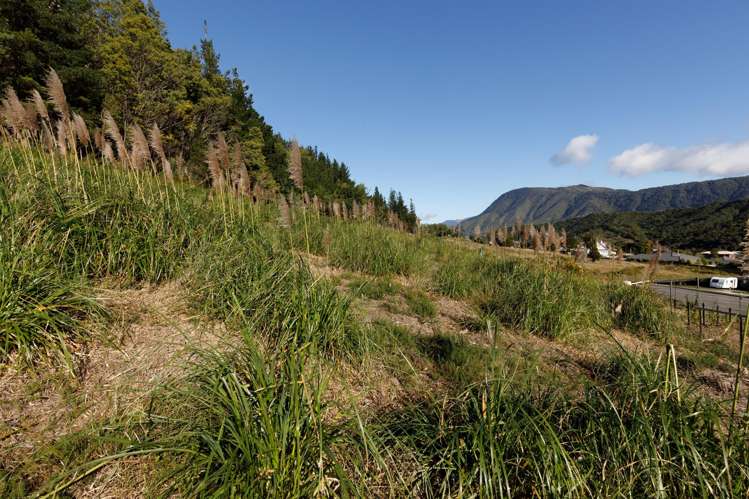 10 Raukura Rise Picton_7