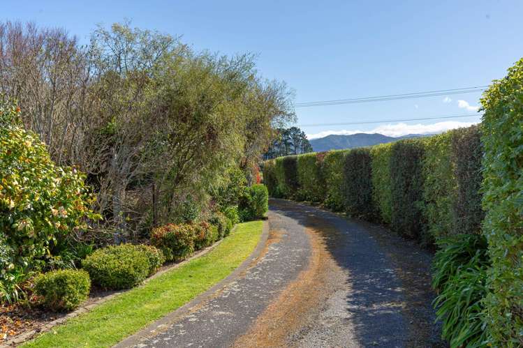 101 Lincoln Road Carterton_22