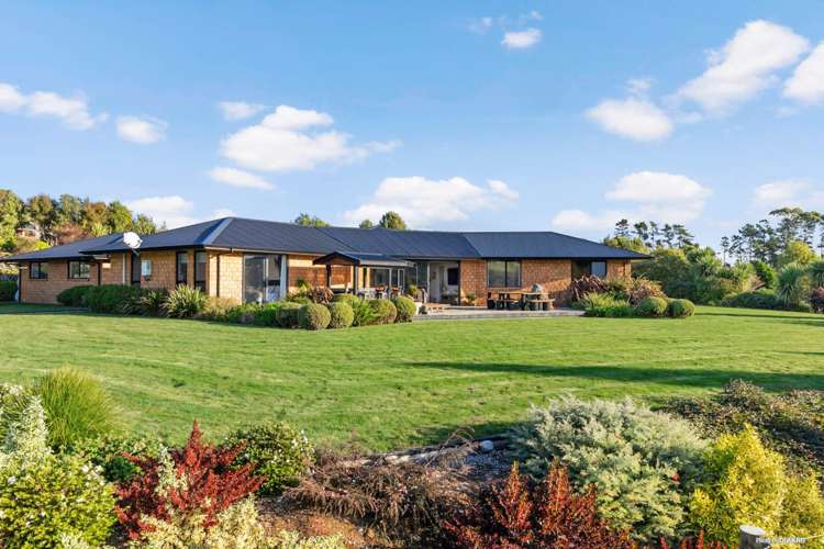 125 Wily Road Puni_8