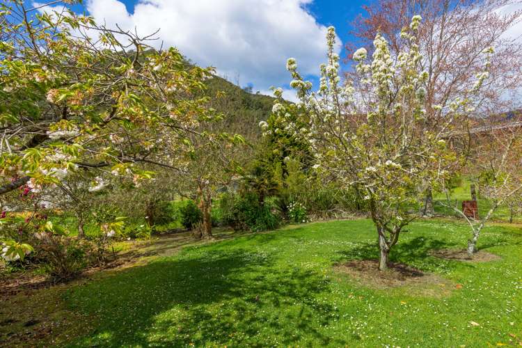 70 Devon Street Picton_23