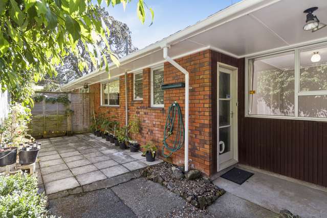 2/20 Poronui Street Mount Eden_1