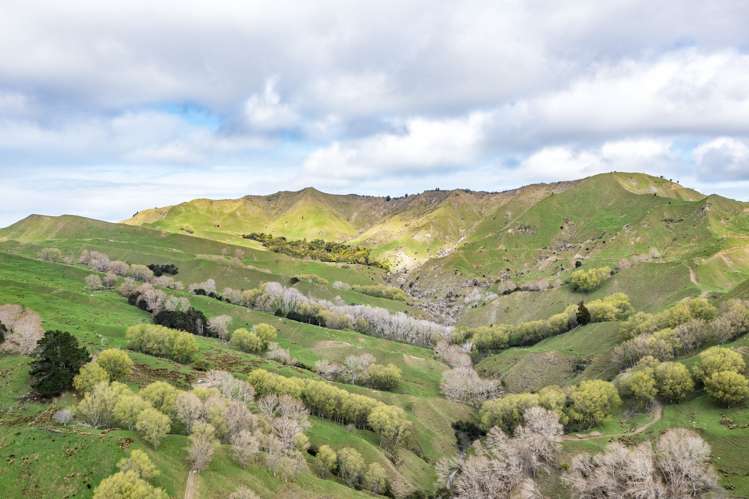 783 Glenroy Road Whangara_12