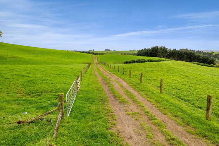 2a Ropata Street Hawera_27