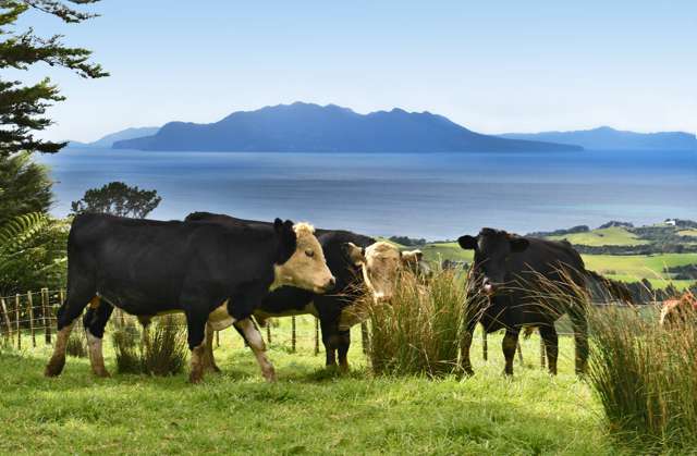 Impressive Views and Location