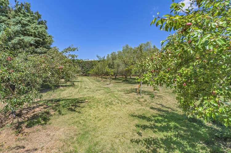 725 Ridgens Road Charing Cross_30