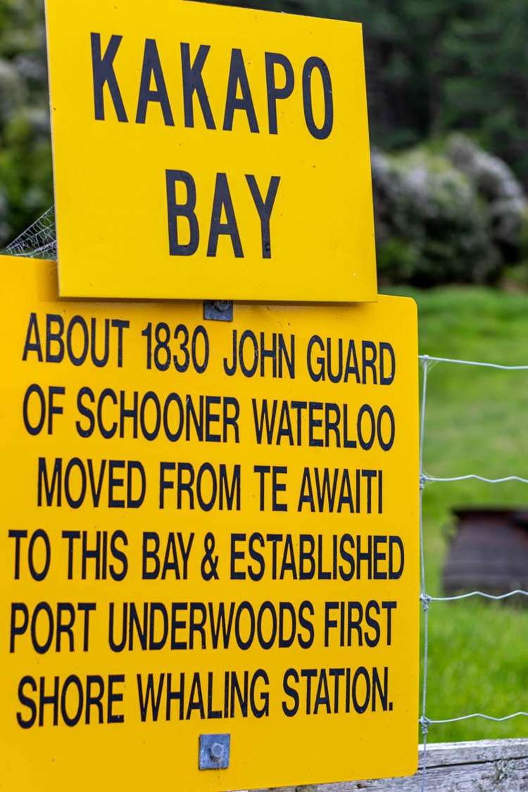 Kakapo Bay Port Underwood_15