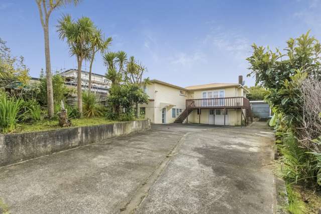 34 Subritzky Avenue Mount Roskill_1