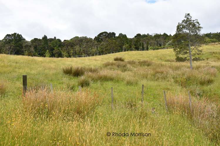 10 Te Pahi River Drive Paparoa_73