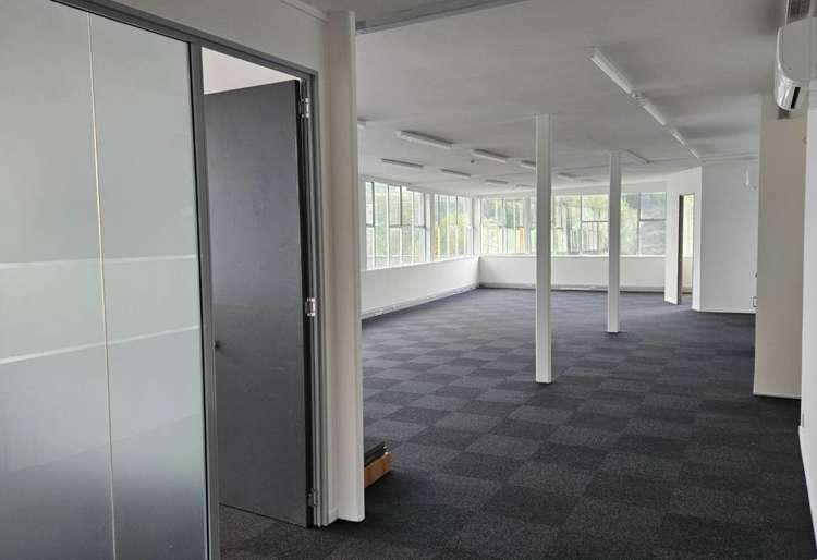 16 Heather Street Parnell_3