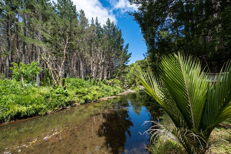 605 Takahue Road Takahue_6