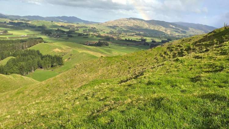 Mangaraupiu Road Eketahuna_18