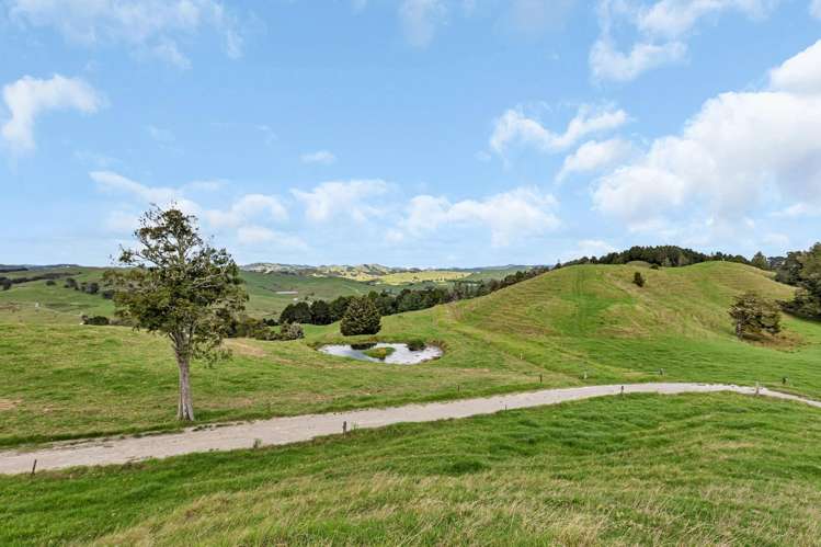 282B Callaghan Road Maromaku_23