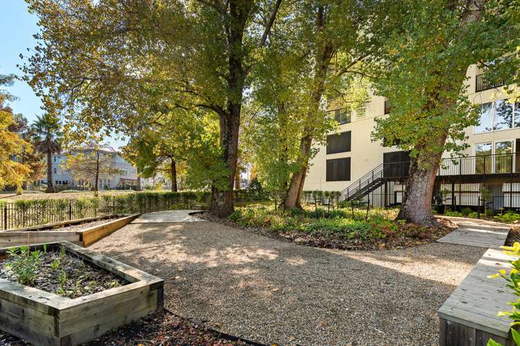 214/1817a Great North Road Avondale_9