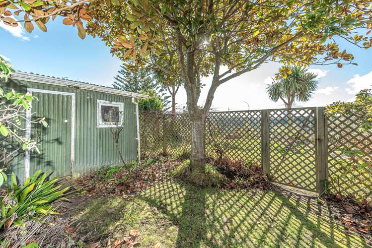 87 Portal Street Durie Hill_15