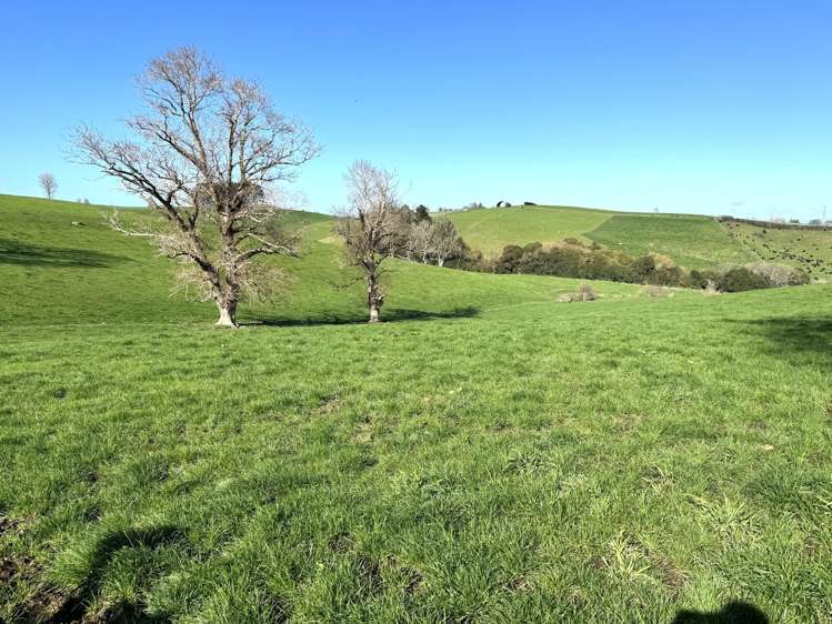 233B Kio Kio Station Road Otorohanga_13