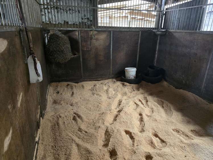 103 East Road Stratford_18