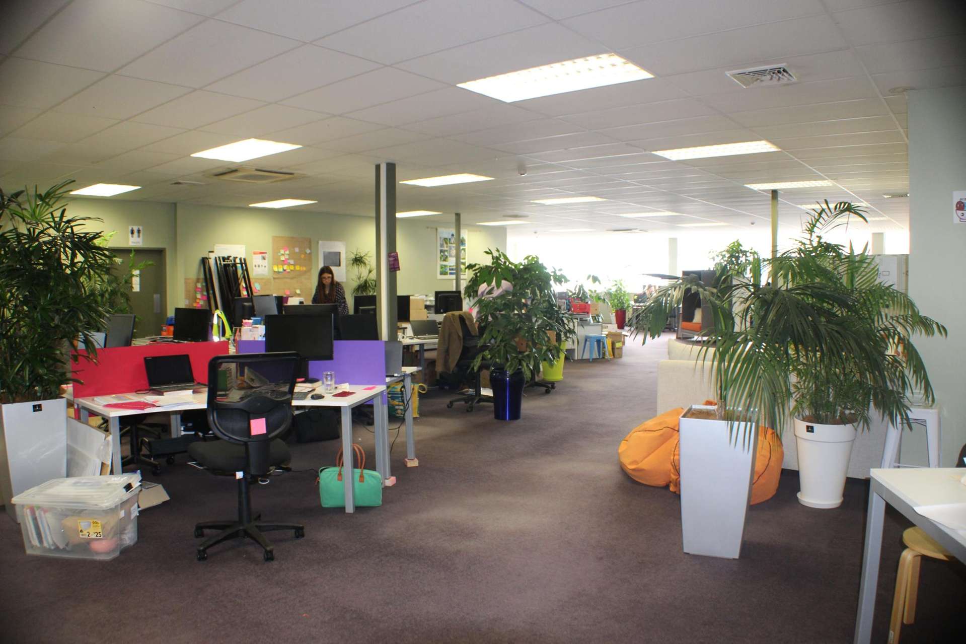 39 Walton Street Whangarei Central_0