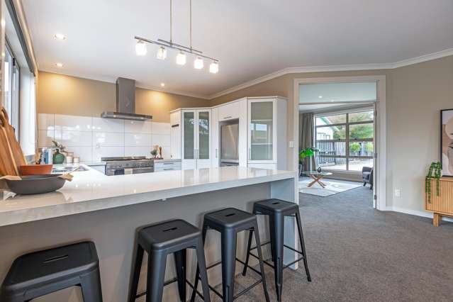 31a Puriri Terrace Roslyn_3