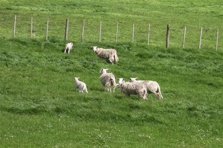 73 Rotongaro Road Rotongaro_33