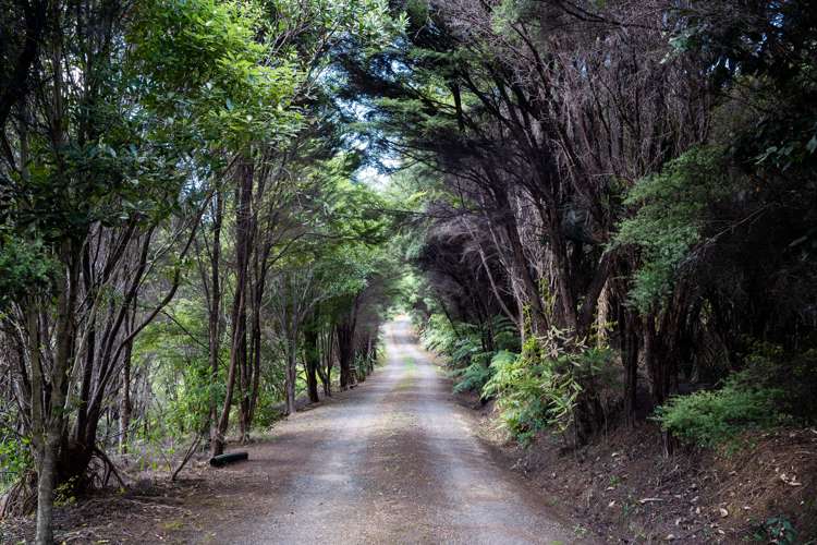 97 Pukenui Road Ngunguru_28