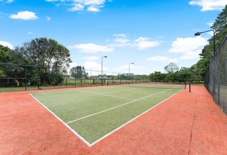 37 Green Road Dairy Flat_18