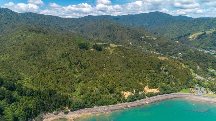 13 Pohue Creek Road Thames_20