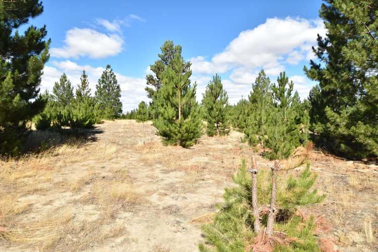 10 Flanagan Lane Twizel_12