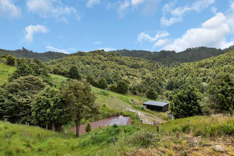 2568e Paparoa-Oakleigh Road Paparoa_18