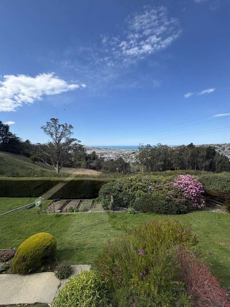 131 Mornington Road 2506_11