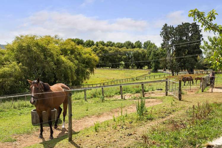 36 Frankton Road Waihi_15