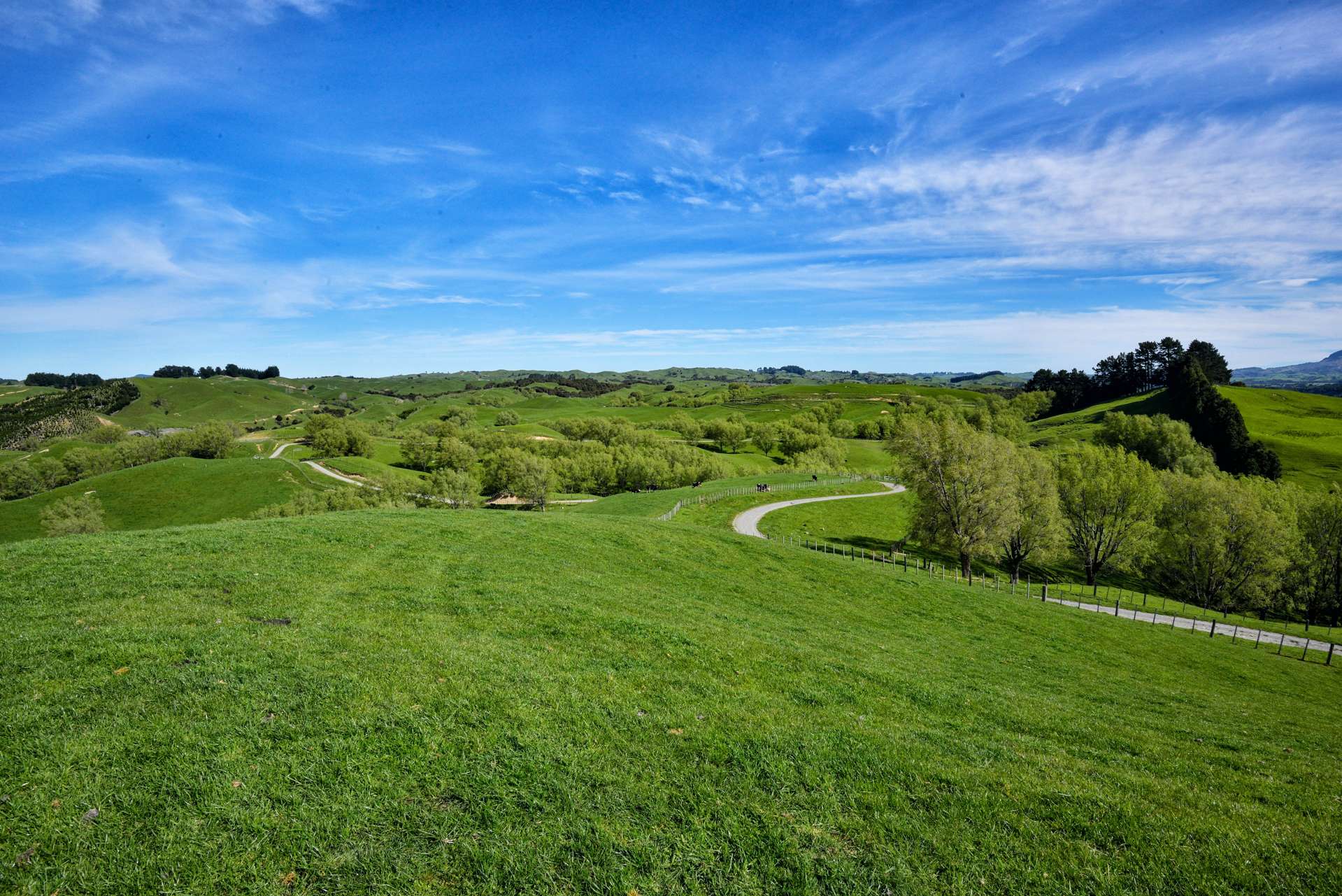 281 Matanui Road (Matanui Station) Tauwhareparae_0