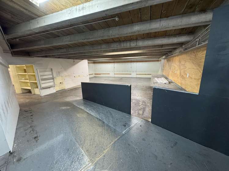 181 Vivian Street Te Aro_6