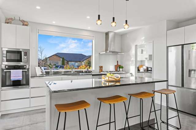 30 Platinum Drive Wigram_1