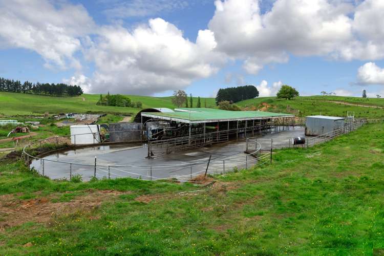 44 Black Road Te Kauwhata_12