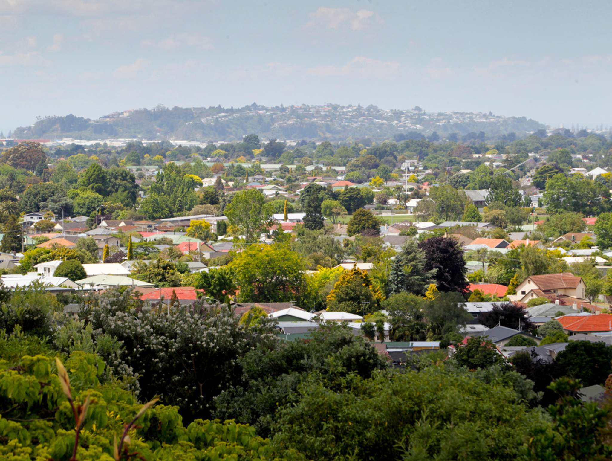 'Massive' rise in Hawke's Bay property sales