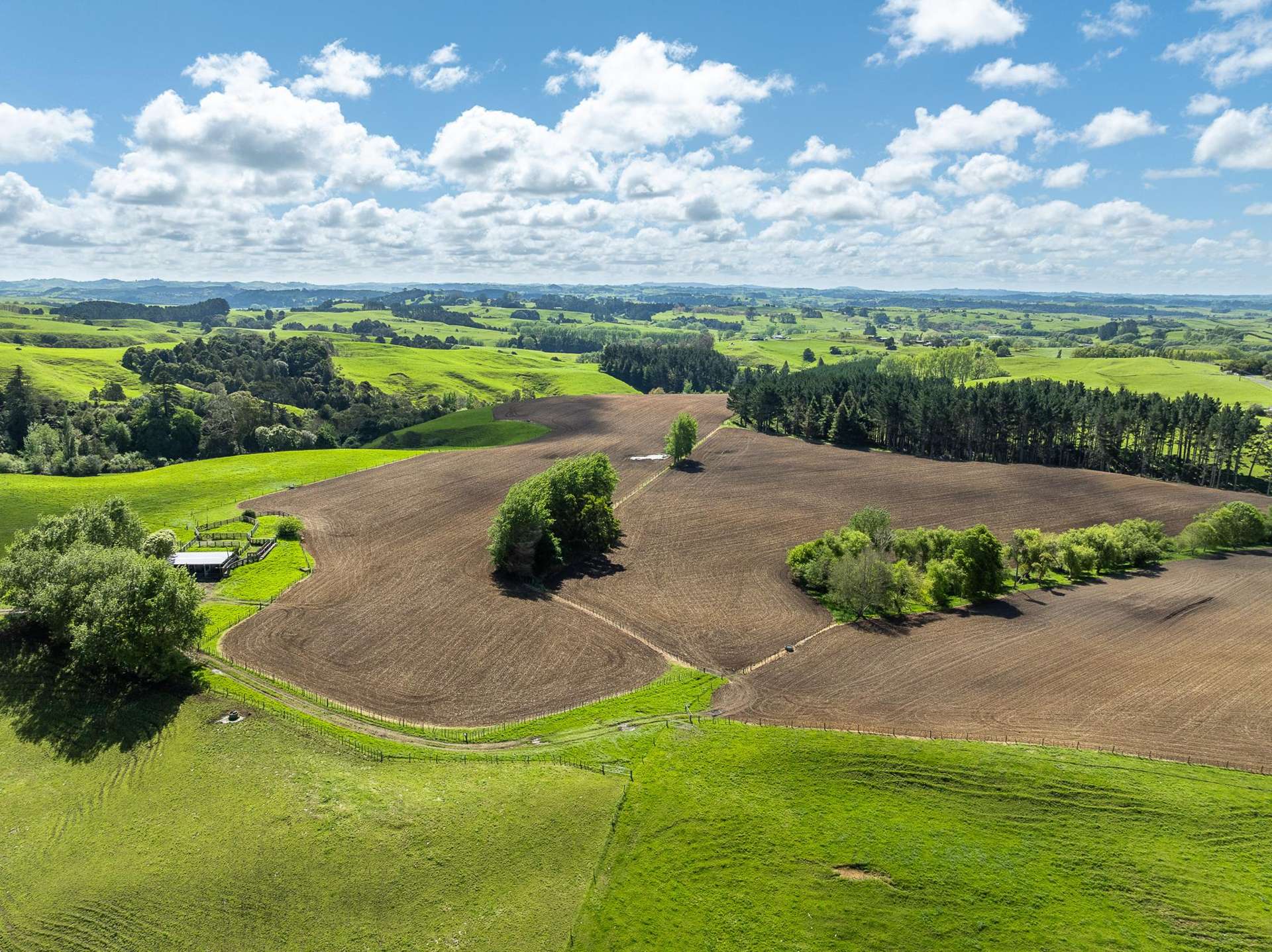 1232B Hetherington Road Huntly_0